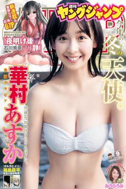 以爱为营电视剧免费观看完整版